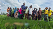 কোটচাঁদপুরে চাচাতো ভাইয়ের অস্ত্রের আঘাতে যুবক নিহত