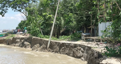জাজিরায় পদ্মার ভাঙন তীব্র, আতঙ্কে ৫০০ পরিবার