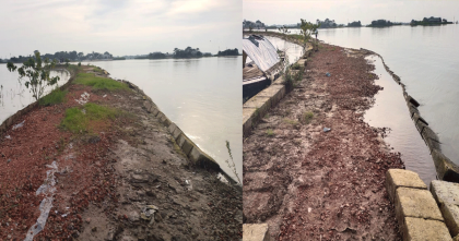 হাওরের ফসলরক্ষা বাঁধের দুই হাজার ব্লক লুট, আতঙ্কে কৃষক