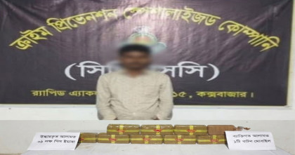 নাইক্ষ্যংছড়িতে মাটির নিচ থেকে ১ লাখ পিচ ইয়াবা উদ্ধার