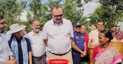 ঠাকুরগাঁওয়ের চা বাগান ও সূর্যপূরী আমগাছ দেখে আনন্দিত মার্কিন রাষ্ট্রদূত