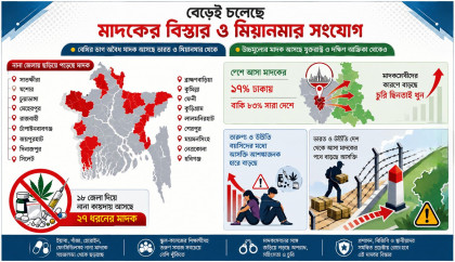 ১০৫ সীমান্ত পয়েন্ট দিয়ে দেশে ঢুকছে ২৭ ধরনের মাদক