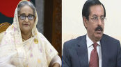 শেখ হাসিনার অনুপস্থিতিতে আওয়ামী লীগের সভাপতি শেখ সেলিম