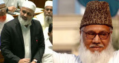 সার ব্যবস্থাপনায় মতিউর রহমান নিজামীর সময়ের দৃষ্টান্ত অনুসরণের আহ্বান নজিবুর রহমানের  