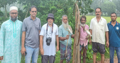 নকলায় পাখি শিকার বন্ধে বিশেষ অভিযান