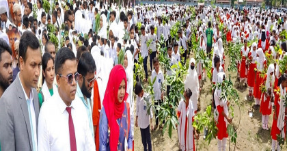 শিক্ষার্থীদের মাঝে গাছের চারা বিতরণ কার্যক্রমের উদ্বোধণ 