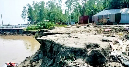 রাজশাহীতে পদ্মার ভাঙ্গনে ১৫ টি চরের ২০ হাজার মানুষ পানিবন্দী 