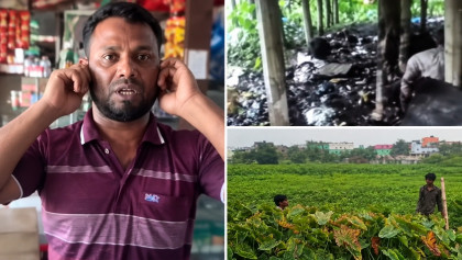 ভার্চুয়াল হুংকারে মাঠে আ.লীগের ‘ফ্রি সার্কাস’