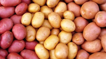 আলু দীর্ঘদিন ভালো রাখার সহজ উপায়