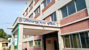 কুষ্টিয়ায় জমির রাস্তার বিরোধে বড় ভাইয়ের হাতে ছোট ভাই খুন