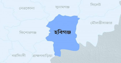 হাওড়ে জমির আগাছা পরিষ্কার নিয়ে সংঘর্ষ, কৃষক নিহত; আহত তিন
