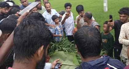 নীলফামারীতে পৃথক সড়ক দুর্ঘটনায় স্বামী-স্ত্রীসহ নিহত তিন

