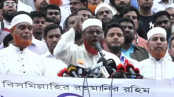 সরকারের ভেতরের চক্র আ.লীগের সঙ্গে আঁতাত করছে: গোলাম পরওয়ার