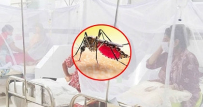 সারাদেশে ডেঙ্গুতে আরও ছয় জনের মৃত্যু; হাসপাতালে ভর্তি এক হাজার ৯৪৮    
