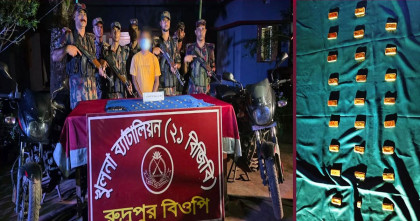 শার্শার রুদ্রপুর সীমান্তে ২৬ টি স্বর্ণবার উদ্ধার আটক এক