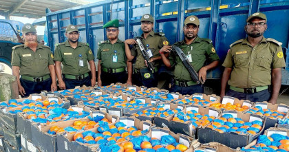 বেনাপোলে মিথ্যা ঘোষণায় আমদানিকৃত ট্রাকে মিলল কমলালেবু