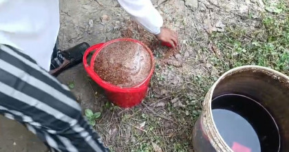 চাঁপাইনবাবগঞ্জে দুটি ককটেল বিস্ফোরণ; অবিস্ফোরিত ১১টি উদ্ধার 