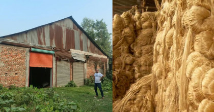 বগুড়ায় ব্যবসায়ীর গুদাম থেকে ১'শ মণ পাট চুরি