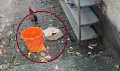 ঘরের সামনে ১০টি ককটেলসদৃশ বস্তু, এলাকায় আতঙ্ক