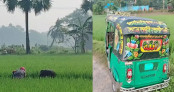 চার দিন নিখোঁজ, কুমিল্লার  লালমাইয়ের ধানখেতে মিলল কিশোরীর মরদেহ  