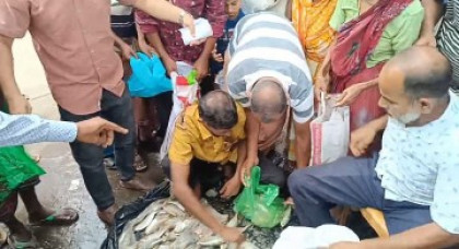 নিষেধাজ্ঞার প্রথম দিনেই গলাচিপায় চন্দনা মাছ জব্দ