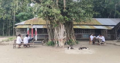 বাগেরহাটে ভবন সংকটে বটতলায় পাঠদান, ঝুঁকিতে শিক্ষার্থীরা