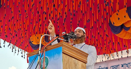 সংবিধান সংস্কার প্রসঙ্গে বিএনপির সমালোচনা মামুনুল হকের