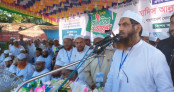 জুলাই বিপ্লবের ফসল তুলে আমাদের ঘরে ফিরতে হবে: মামুনুল হক 