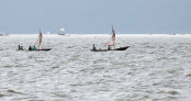 প্রশাসনকে তোয়াক্কা না করে পায়রায় চলছে মা ইলিশ শিকারের মহোৎসব 