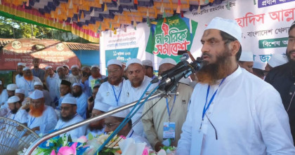 জুলাই বিপ্লবের ফসল তুলে আমাদের ঘরে ফিরতে হবে: মামুনুল হক 