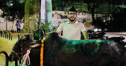 জবিতে গরুভোজ কর্মসূচি: সোয়া লাখ টাকায় কেনা হলো গরু