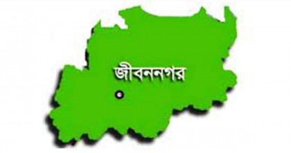 জীবননগরে বৃদ্ধের আত্মহত্যা, পারিবারিক চাপের দাবি পরিবারের