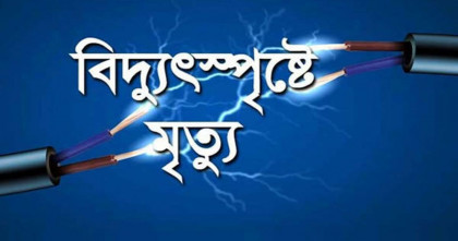 বাবাকে বাঁচাতে গিয়ে বিদ্যুৎস্পৃষ্ট, প্রাণ গেলো দুই সহোদর ভাইয়ের 
