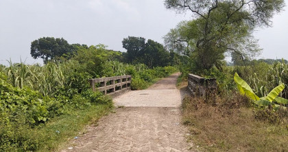 সবুজ মাঠ,পুকুর আর পুরোনো বসতভিটা-মঙ্গলপুর কি সত্যিই ‘মানবশূন্য’? 