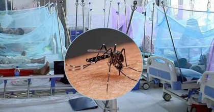 ডেঙ্গুতে প্রাণ গেলো আরও পাঁচ জনের; হাসপাতালে ভর্তি দুই হাজার ২১৮