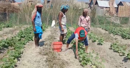 কৃষিনীতিতে কৃষকের প্রতিনিধিত্ব বাধ্যতামূলক করার দাবি