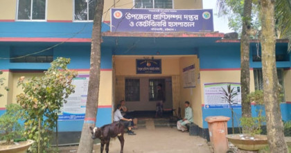 বাঁশখালী প্রাণিসম্পদ হাসপাতালে ১১ পদের ছয়টিই শূন্য, ব্যাহত সেবা
