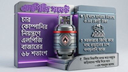 ১০ আমদানিকারকের নিয়ন্ত্রণে এলপিজি বাজার, জিম্মি ৮৩ লাখ পরিবার