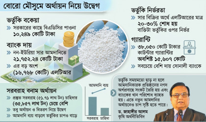 ভর্তুকির ফাঁদে সার আমদানি, ব্যাংকঋণে চাপে বিএডিসি