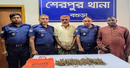 শেরপুরে পৃথক অভিযানে ইয়াবা ও গাঁজা উদ্ধার, গ্রেপ্তার এক